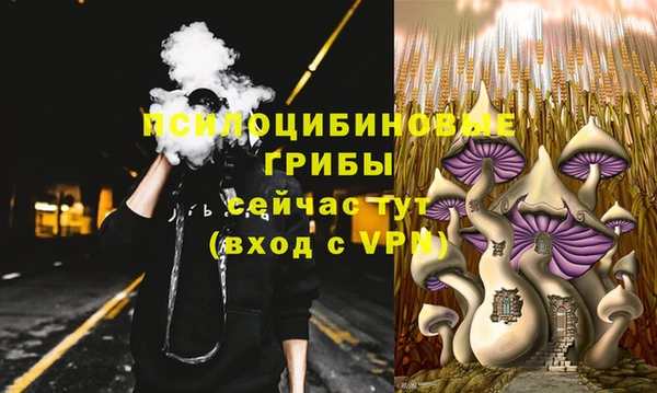 прущие грибы Магас