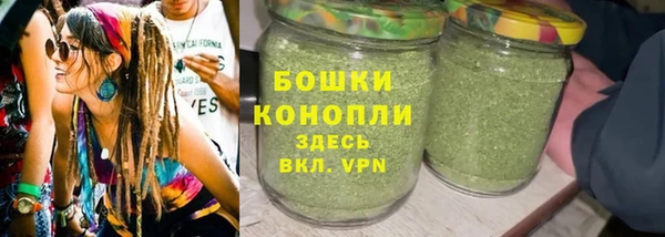 прущие грибы Магас