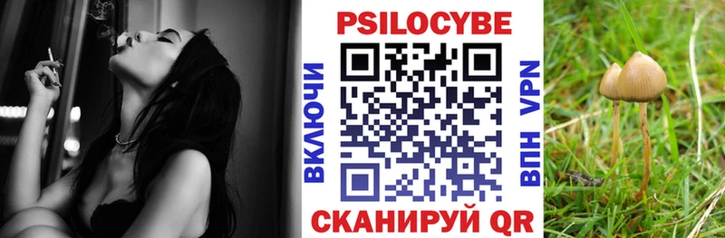 Купить где  Благодарный  Псилоцибиновые грибы Magic Shrooms 